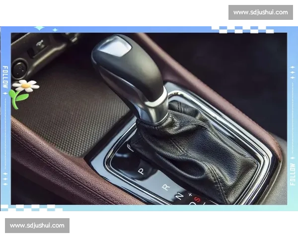 主驾拧油门，副驾全掌控：未来驾驶新范式